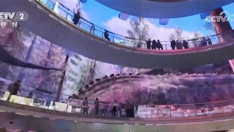 【北滘两日游，跟着顺德“德甲”玩出花样！这份绿茵狂欢指南保证你食过返寻味】