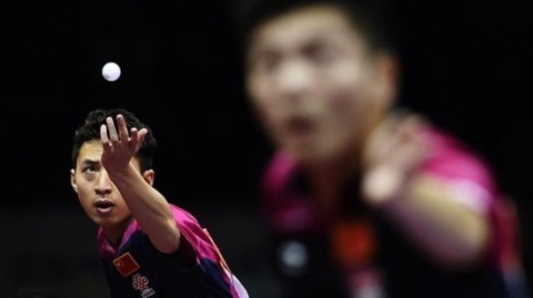 樊振东夺冠首度回应去留问题，一席话感动教练+队友，球迷听懂了