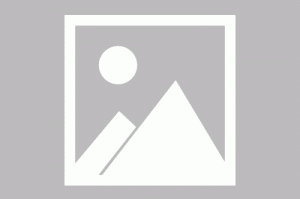 金山快盘关闭资料找回 不知情用户何处寻回文件